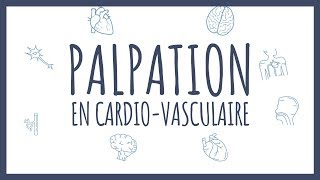 Sémiologie Cardiaque  Palpation [upl. by Lolanthe695]