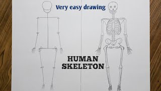 Easy way to draw human skeleton step by step [upl. by Nnaj]