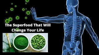 The Amazing Health Benefits Of Spirulina And Chlorella [upl. by Mochun]