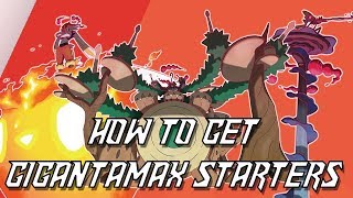 HOW TO GET GIGANTAMAX STARTER POKEMON GALAR STARTERS [upl. by Clementine]