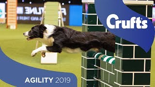 Agility  Championship Final  ​Crufts 2019 [upl. by Heise]