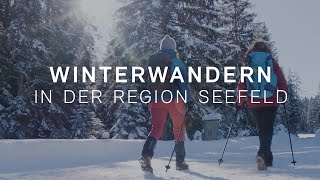 Winterwandern in der Region Seefeld  Winterweitwandern in Tirol [upl. by Tol975]