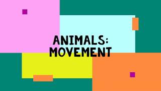 Animals Movements [upl. by Nniw313]