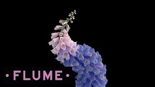 Flume  Take a Chance feat Little Dragon [upl. by Sheilah196]