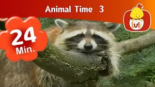 Animal Time 3  Luli TV Specials  Cartoon for Children  Luli TV [upl. by Nosirrah]