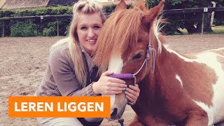 Leren liggen vrijheidsdressuur  PaardenpraatTV [upl. by Elayne]