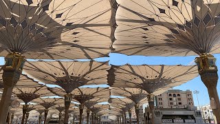 Al Masjid Al Nabawi LIVE [upl. by Michigan]