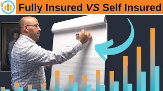 Fully Insured VS Self Insured [upl. by Keelby]