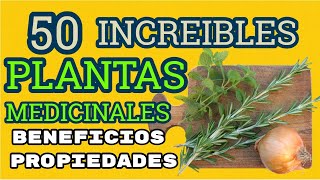 Las Mejores 50 PLANTAS Medicinales Sus Beneficios y Propiedades [upl. by Iney]