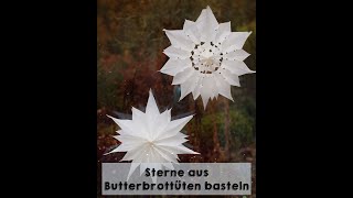 Sterne aus Butterbrottüten basteln  Wenn das Ergebnis alle zum Staunen bringt [upl. by Weyermann301]