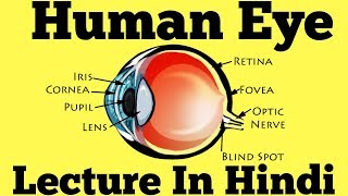 Seizures and Epilepsies 2023 [upl. by Bacchus]