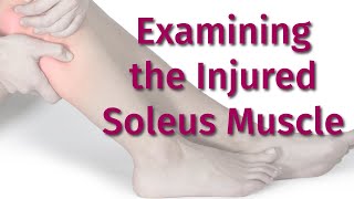 How to Examine for the Injured Soleus Muscle [upl. by Juana903]