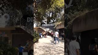 Zoológico de Chapultepec CDMX [upl. by Mignon638]