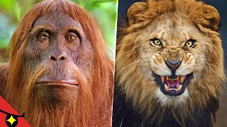 6 SECRETS sombres des DOCU ANIMALIERS 🦁 [upl. by Sivam441]