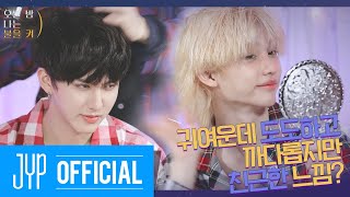 귀여운데 도도하고 까다롭지만 친근한 느낌  오늘 밤 나는 불을 켜AllNight SKZ Ep01 [upl. by Onitnevuj376]