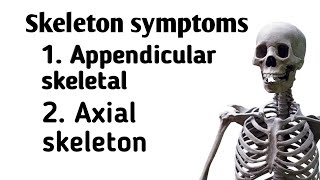 Skeleton Skeleton System Appendicular Skeletal and Axial Skeletal [upl. by Yaja]