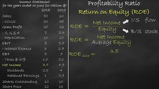 Profitability Ratio  Return on Equity [upl. by Arrehs]