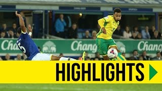 HIGHLIGHTS Everton 02 Norwich City [upl. by Lelia539]