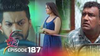 Jaanu  Episode 187  20231110  ITN [upl. by Woodrow274]