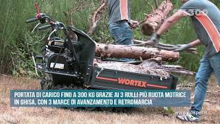 MOTOCARRIOLA WORTEX SFL 300 [upl. by Rekoob]