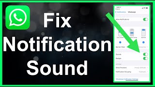 How To Fix WhatsApp Notification Sound EASY [upl. by Magbie]