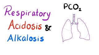 Respiratory Acidosis amp Alkalosis  AcidBase Imbalance [upl. by Alansen]