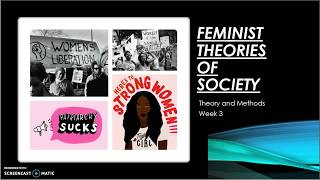 A Sociology Theory and Methods Feminist theory [upl. by Aseral61]