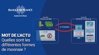 Quelles sont les différentes formes de monnaie   Banque de France [upl. by Normac]