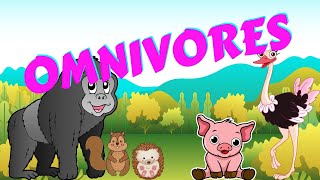 Omnivores  Types of Animal  Science for Kids [upl. by Ardnak]