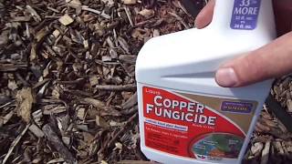 Copper Fungicideproduct review [upl. by Mariele703]