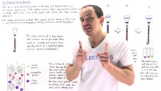 Gel Filtration Chromatography [upl. by Nitsirk]