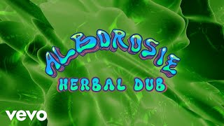 Alborosie  Herbal Dub [upl. by Nywroc]