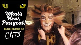 Episode 11  Whats New Pussycat Backstage at CATS with Tyler Hanes [upl. by Ymmit]