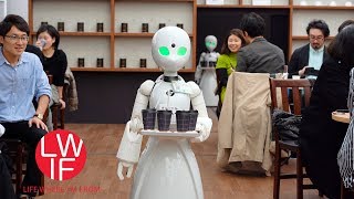 A PopUp Japanese Cafe With Robot Servers Remotely Controlled by People With Disabilities [upl. by Repard216]