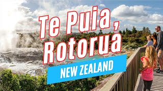 Explore TE PUIA in Rotorua North Island New Zealand  Video Tour [upl. by Freiman]