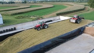 Corn Silage Harvest Begins  Filling the Big Bunk [upl. by Yhtrod]