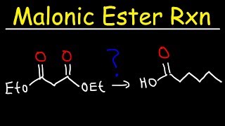 Malonic Ester Synthesis Reaction Mechanism [upl. by Trici]