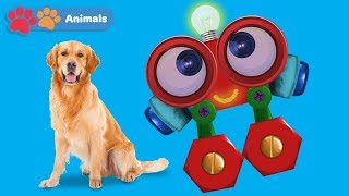 Learn About Dogs amp Animals for Kids with Robi  Animals Names amp Sounds  Wild Animals for Children [upl. by Edecrem]