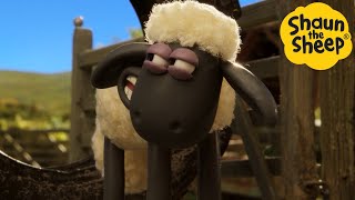 Shaun the Sheep 🐑 Farm Adventures  Cartoons for Kids 🐑 Full Episodes Compilation 1 hour [upl. by Acinimod743]