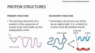 Chapter 23 Biological Molecules  Proteins [upl. by Christalle]