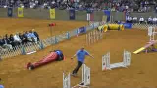 AKC National Agility Championship Finals Shetland Sheep Dog [upl. by Keifer556]