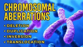 Chromosomal Aberrations  Deletion  Duplication  Inversion  Translocation [upl. by Aneeuq]