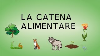 LA CATENA ALIMENTARE [upl. by Riay761]