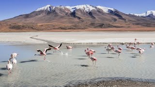 Bolivia 10 Interesting Facts  Country Facts [upl. by Hnacogn]