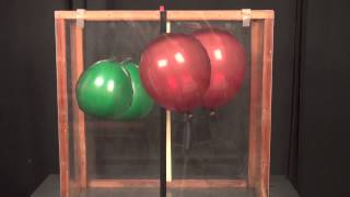 Balloon Buoyancy  What makes balloons float [upl. by Sirc]