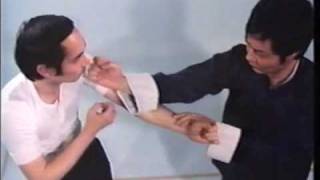 Wing Chun Basic Techniques part 1 [upl. by Aber]