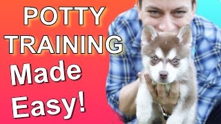 How to Potty Train your Puppy EASILY Everything you need to know [upl. by Rekoob]