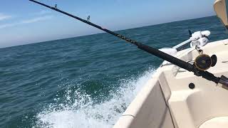 Carolina Skiff Trolling Offshore from Atlantic Beach NC [upl. by Reinke912]