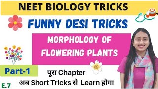 NEET BIOLOGY TRICKS Morphology of Flowering Plants  Part1 [upl. by Eiramlehcar]