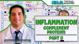 Immunology  Inflammation Complement Proteins Part 3 [upl. by Namara32]